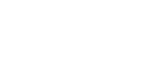 Accueil plein air - logo blanc